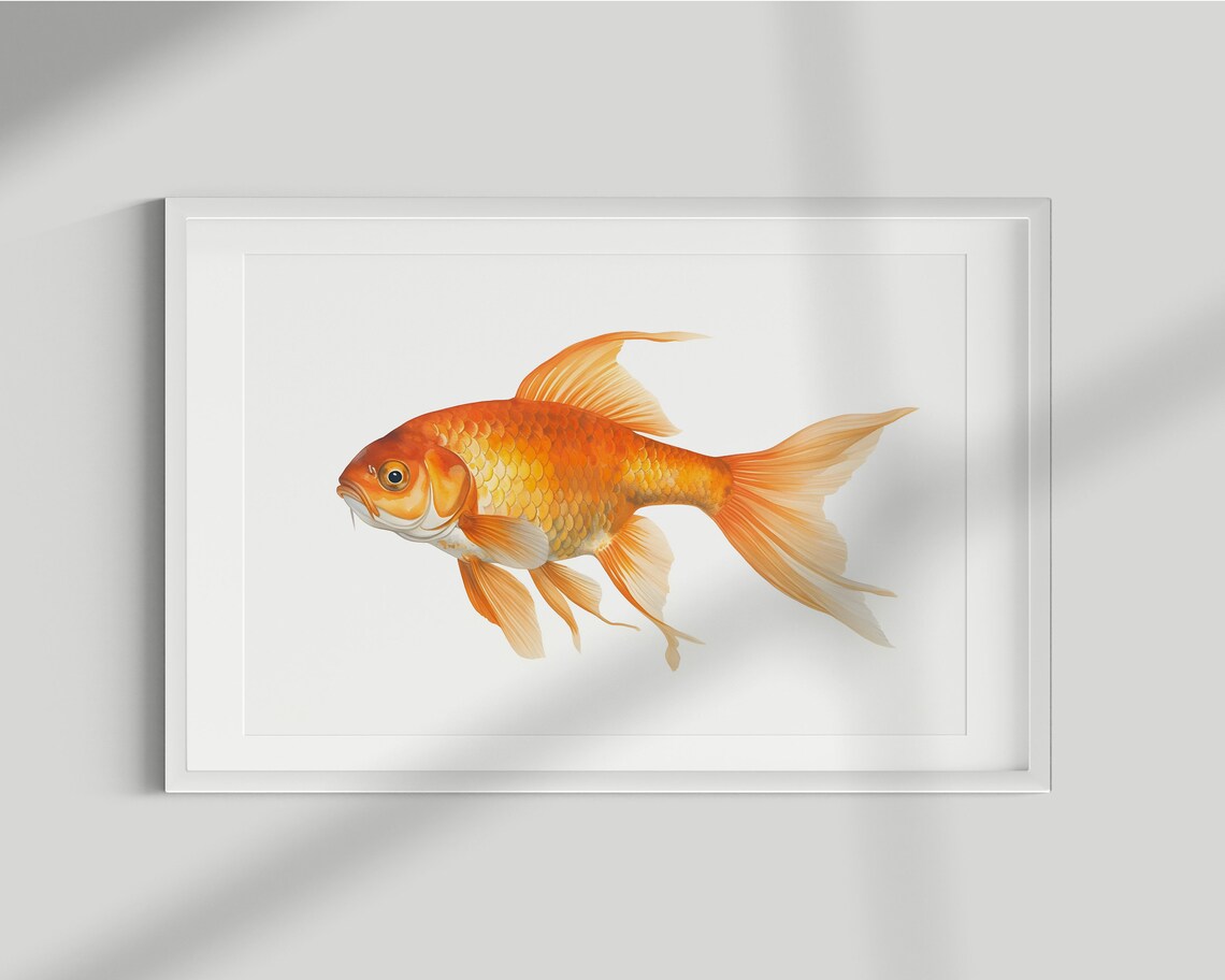 Vintage Goldfish Fish Print, Sea Life Wall Art