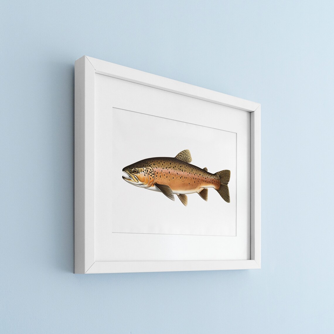 Trout Vintage Illustration Fish Poster Print - Image 3