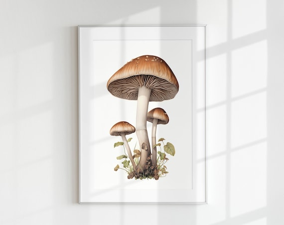 Psilocybin Mushroom Botanical Guide Art Print