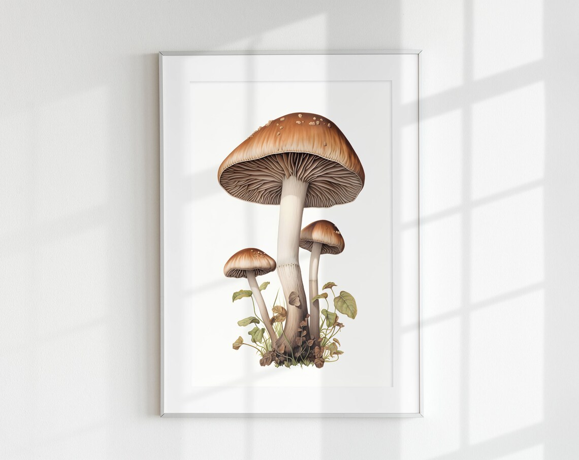 Psilocybin Mushroom Botanical Guide Art Print