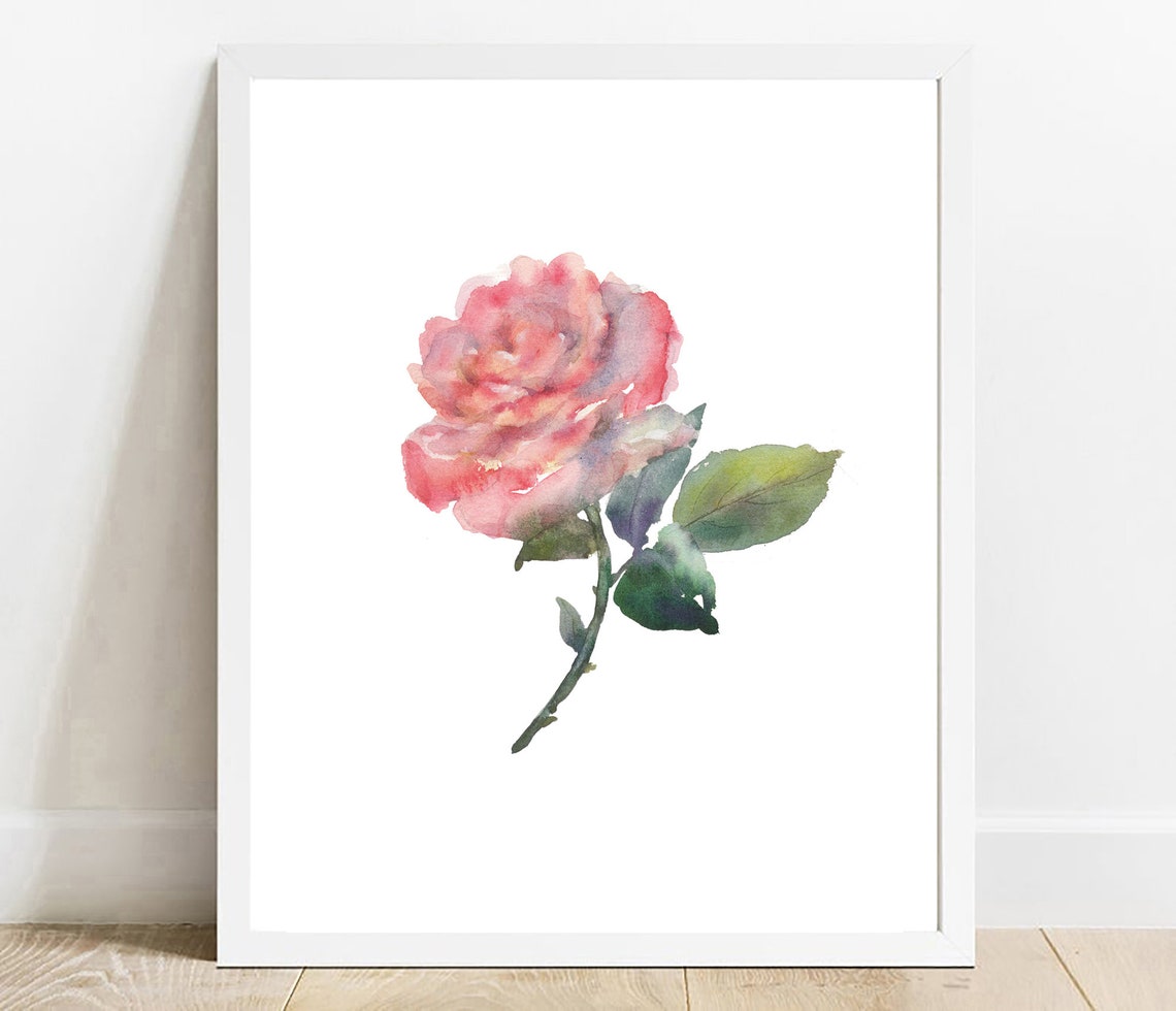 Delicate Pink Rose Watercolor Single Bloom Botanical Art Poster