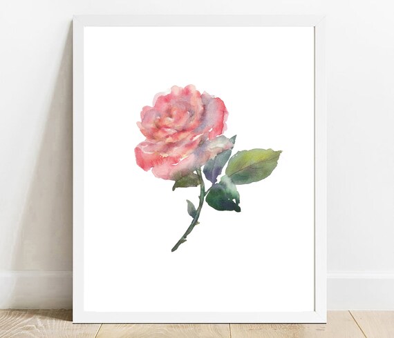 Delicate Pink Rose Watercolor Single Bloom Botanical Art Poster