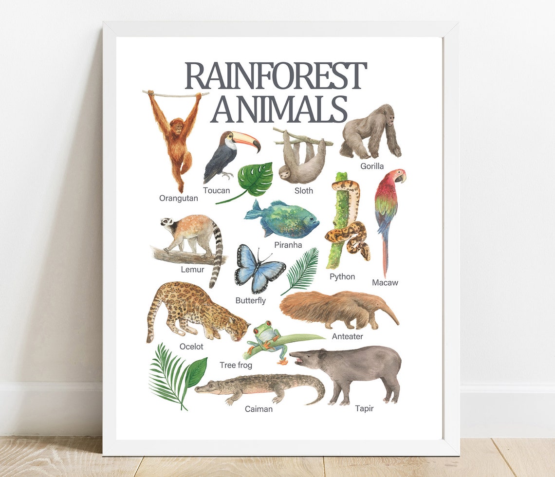 Rainforest Animals Watercolor Print Educational Nursery Decor