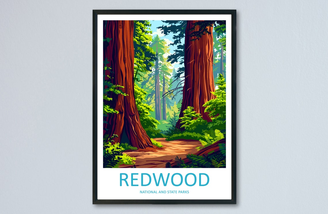 Redwood National Park Forest Poster With Giant Towering Trees