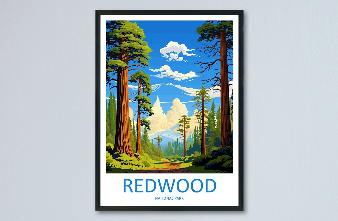 Redwood National Park Tall Forest Trees California Travel Poster
