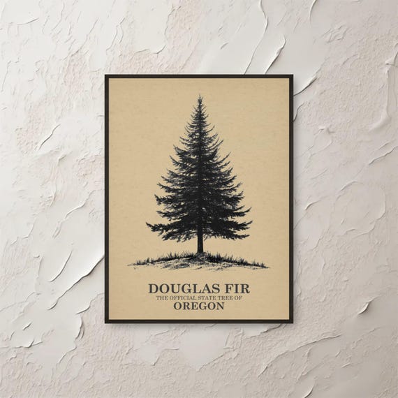 Douglas Fir Oregon Art State Tree Wall Forest Print Botanical Illustration Nature Poster Housewarming Gift