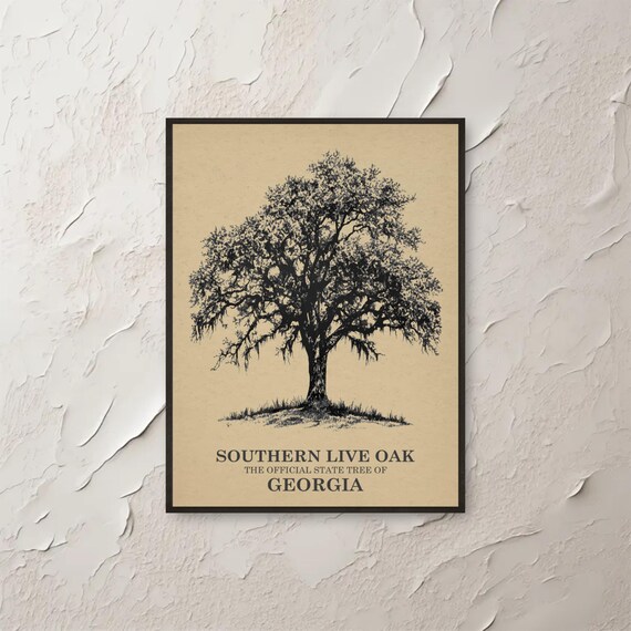 Southern Live Oak Georgia State Tree Vintage Botanical Sketch Poster