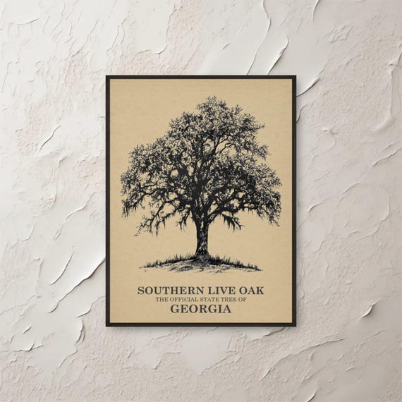 Southern Live Oak Tree Wall Art Georgia State Print Vintage Botanical Illustration Nature Home Decor