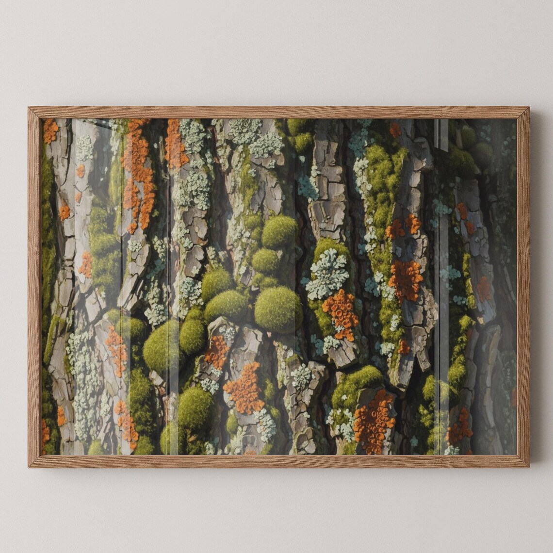 Moss And Lichen Contrast Tree Bark Fine Art Nature Detail Print