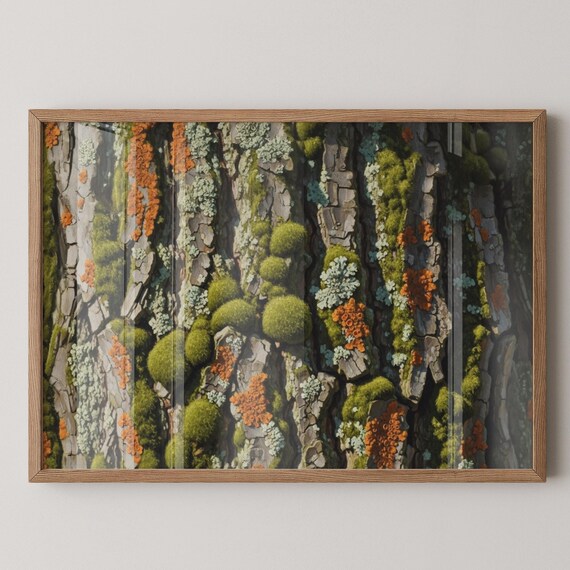 Moss And Lichen Contrast Tree Bark Fine Art Nature Detail Print