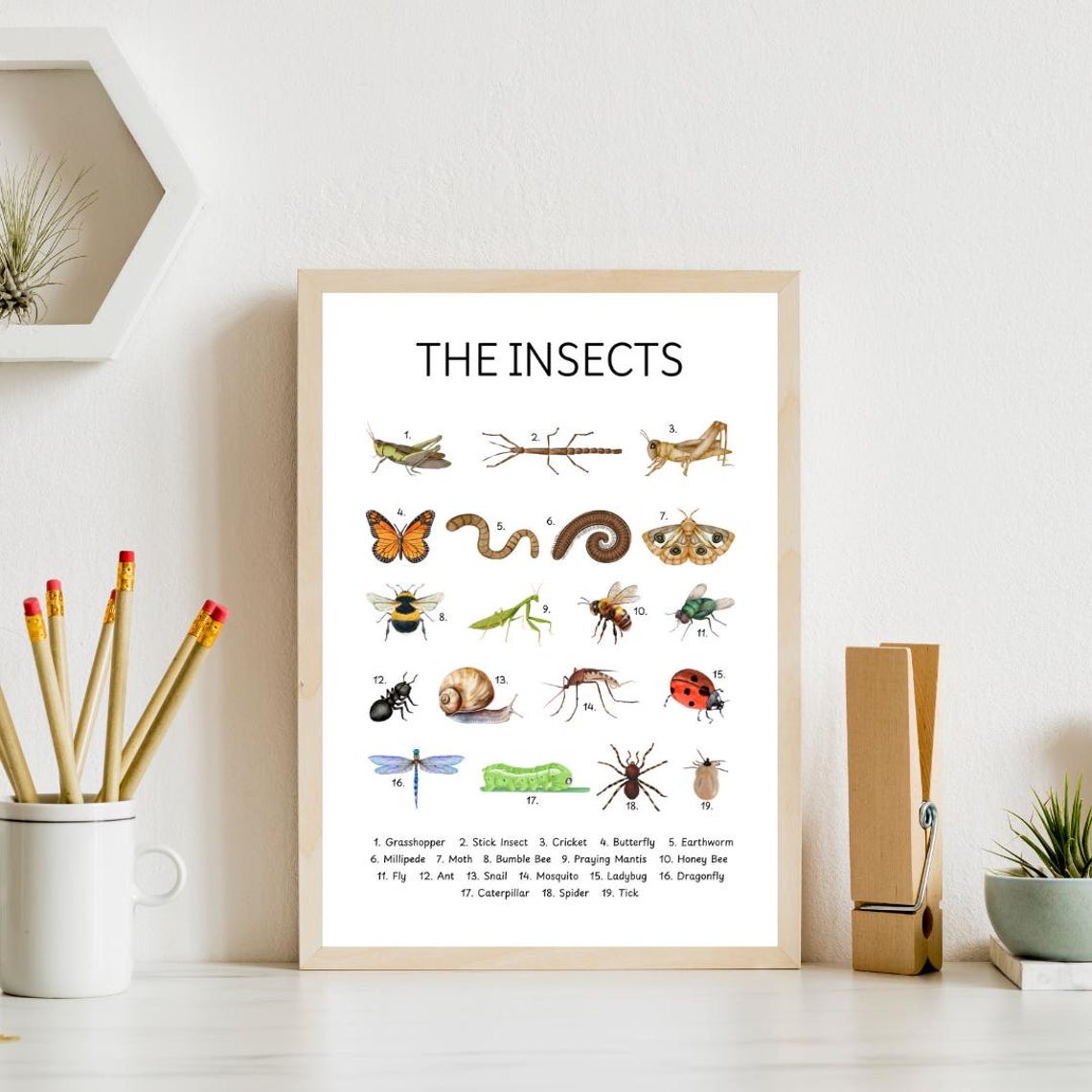 The Insects Educational Chart Kids Bug Identification Poster - Image 4