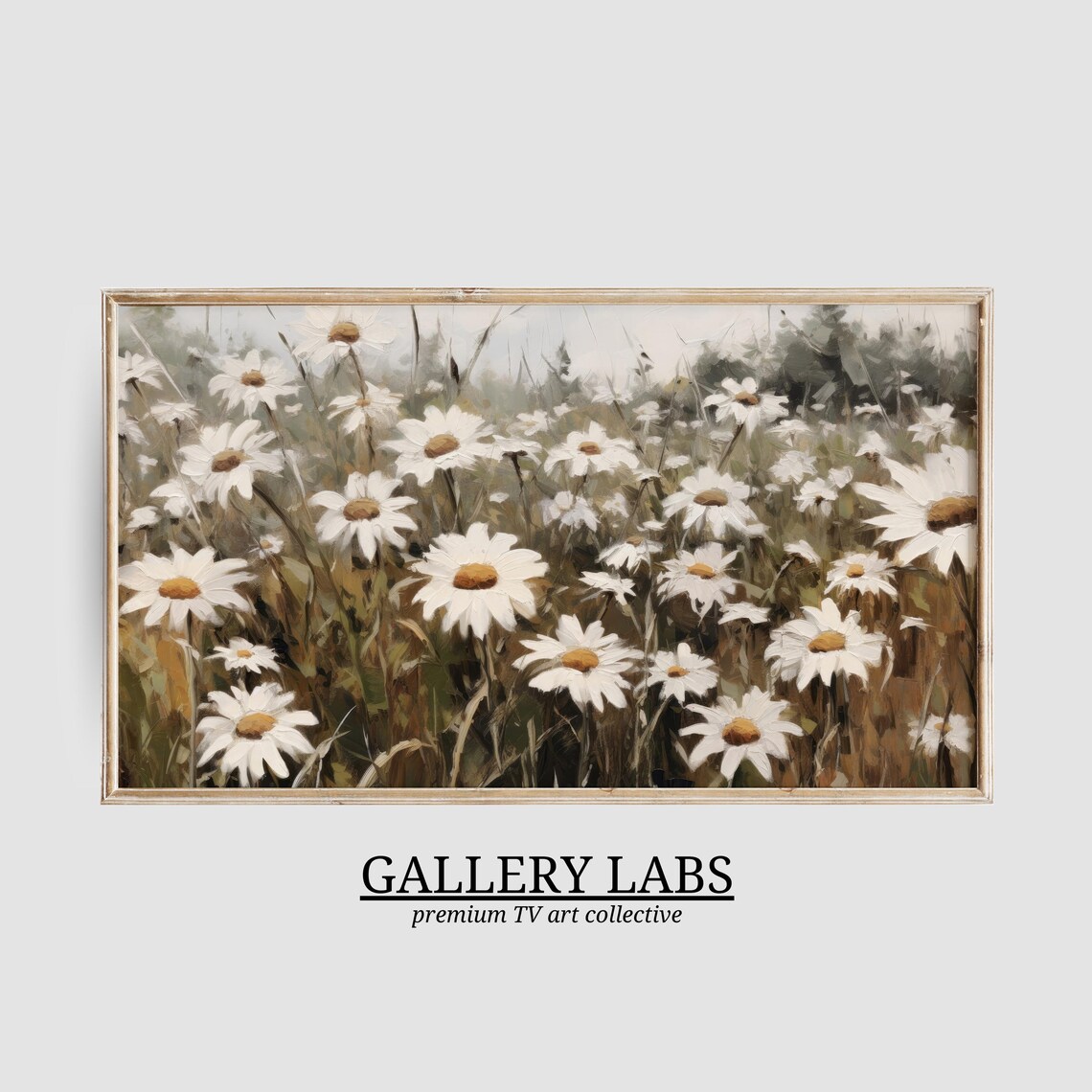 White Daisy Flower Field Vintage Botanical Framed TV Art Print
