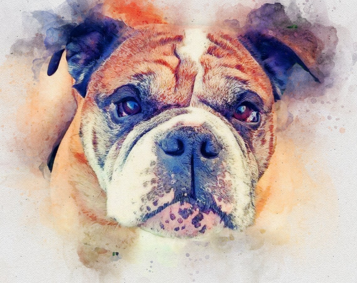 Custom Watercolor English Bulldog Portrait Close Up Painting Poster