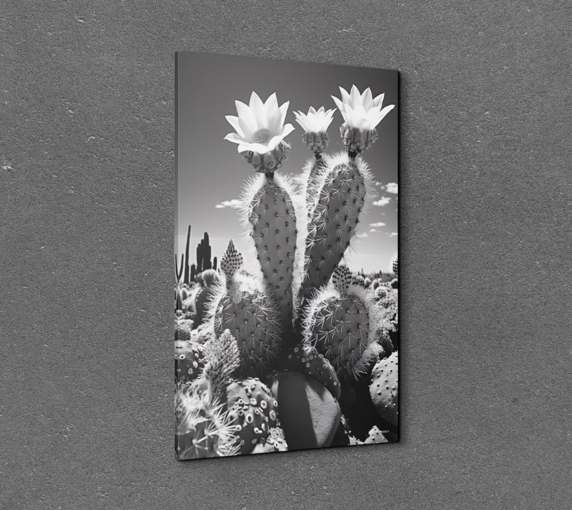 Black And White Flowering Cactus Desert Botanical Photo Poster - Image 7