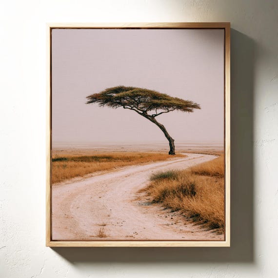 Lone Acacia Tree On Desert Path