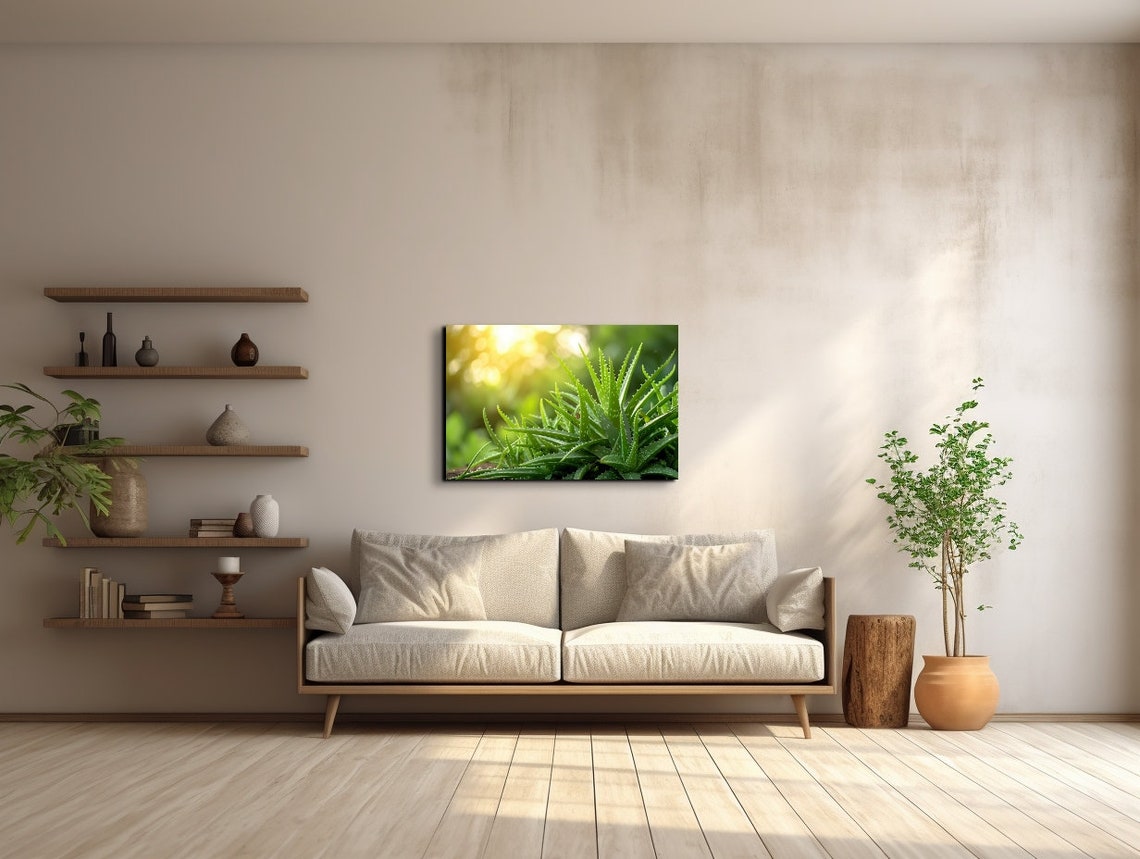 Aloe Vera Plant Sunlit Garden Green Botanical Photography Wall Art - Image 5