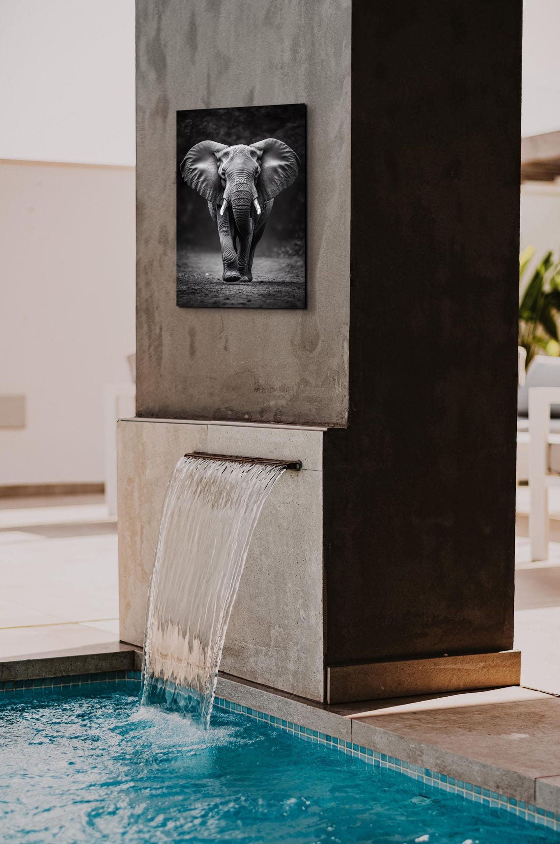 Black And White Elephant Art Print - Image 3