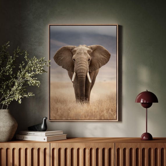 Majestic Elephant In Golden Savannah