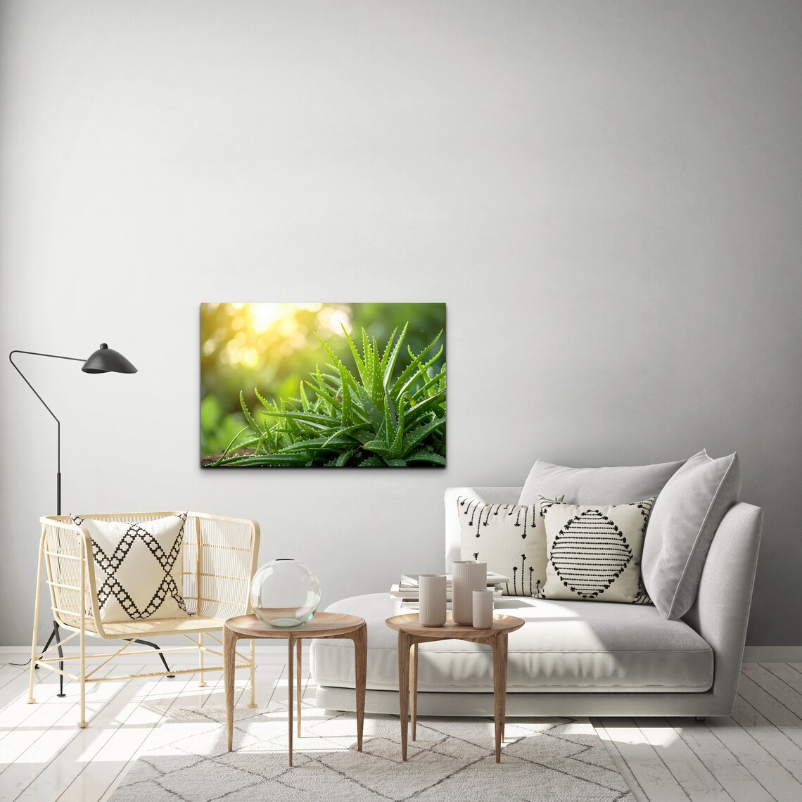 Aloe Vera Plant Sunlit Garden Green Botanical Photography Wall Art - Image 4