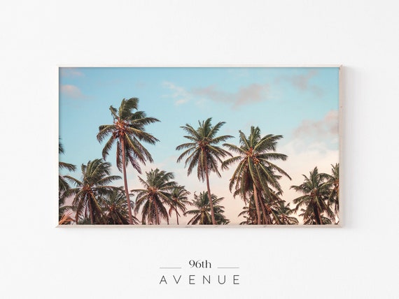 Palm Trees Tropical Wall Art Print