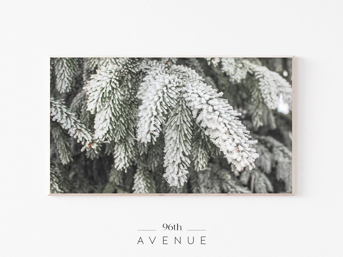 Snowy Winter Branches, Holiday Seasonal Art