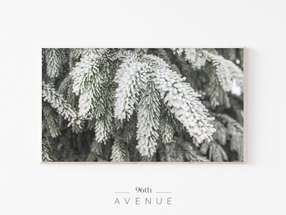 Snowy Winter Branches, Holiday Seasonal Art