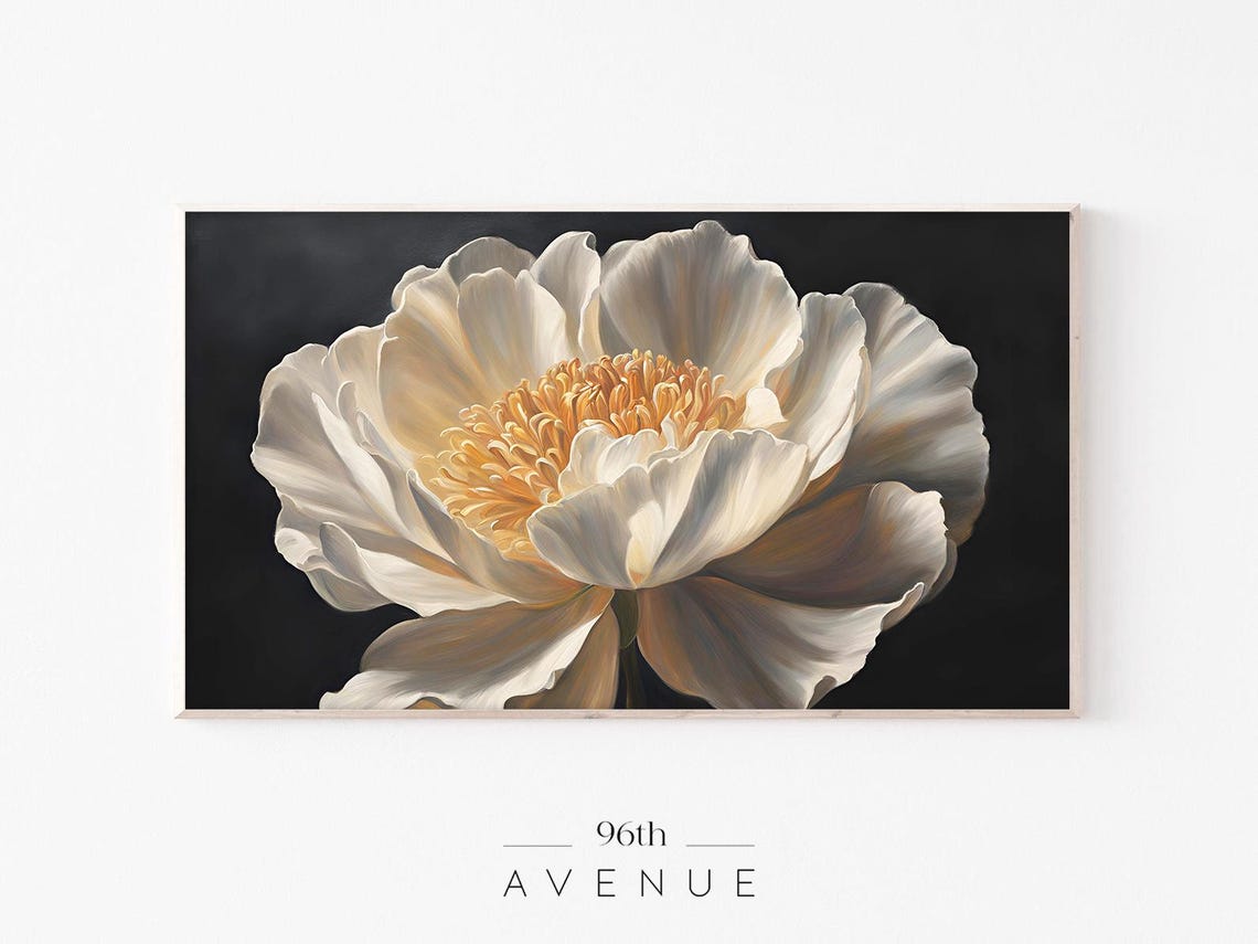 White Peony Blossom Close Up Golden Center Dark Floral Wall Art