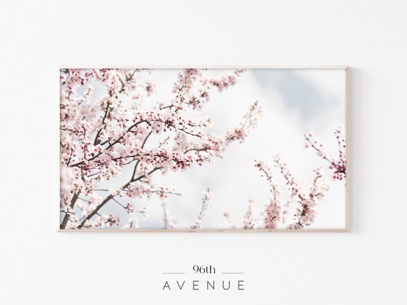 Cherry Tree Blossom Smart TV Art