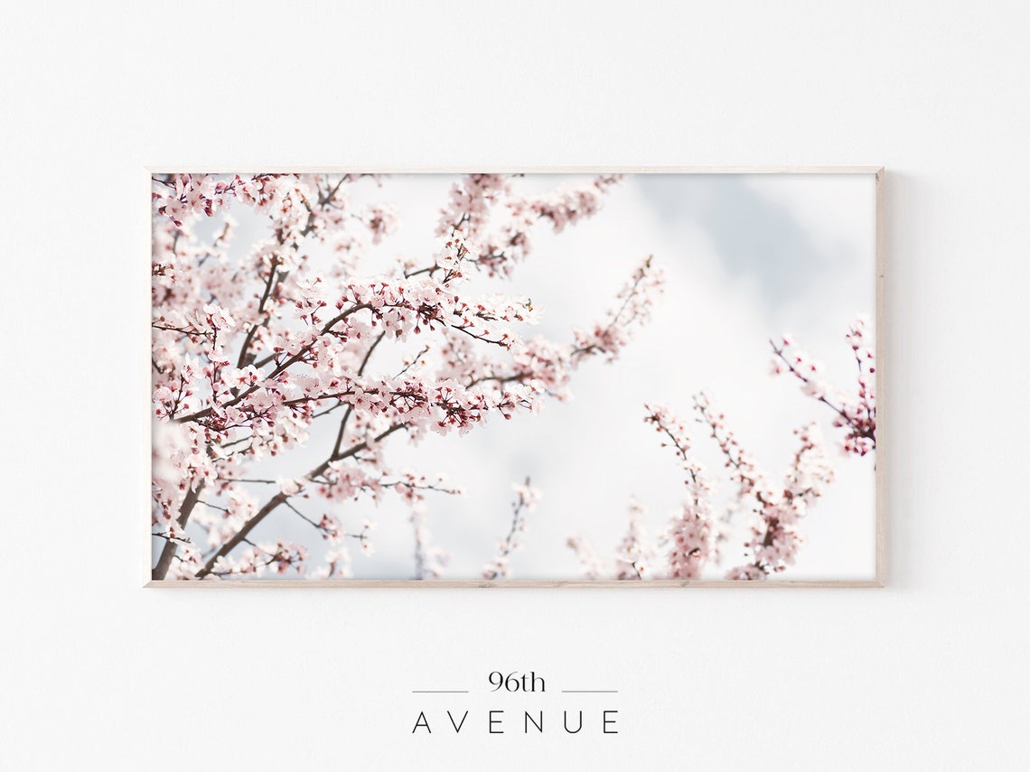 Cherry Tree Blossom Smart TV Art