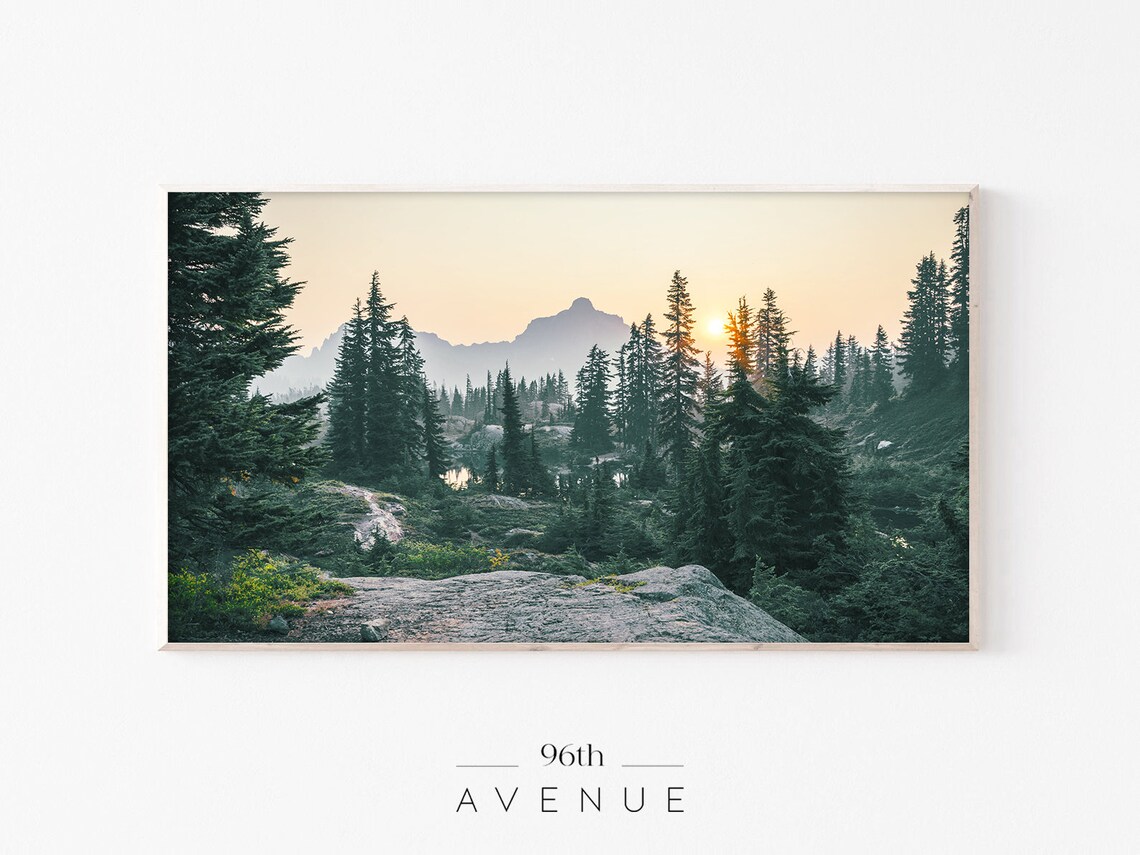 Mountain Forest Art Print