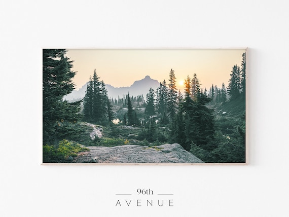 Mountain Forest Art Print