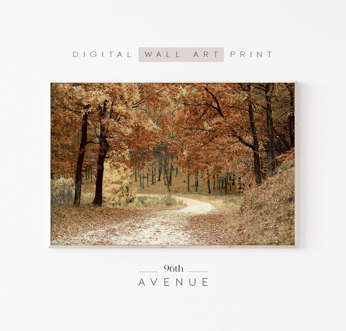 Autumn Forest, Forest Photography Art Print