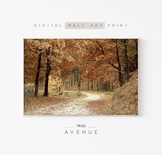 Autumn Forest, Forest Photography Art Print