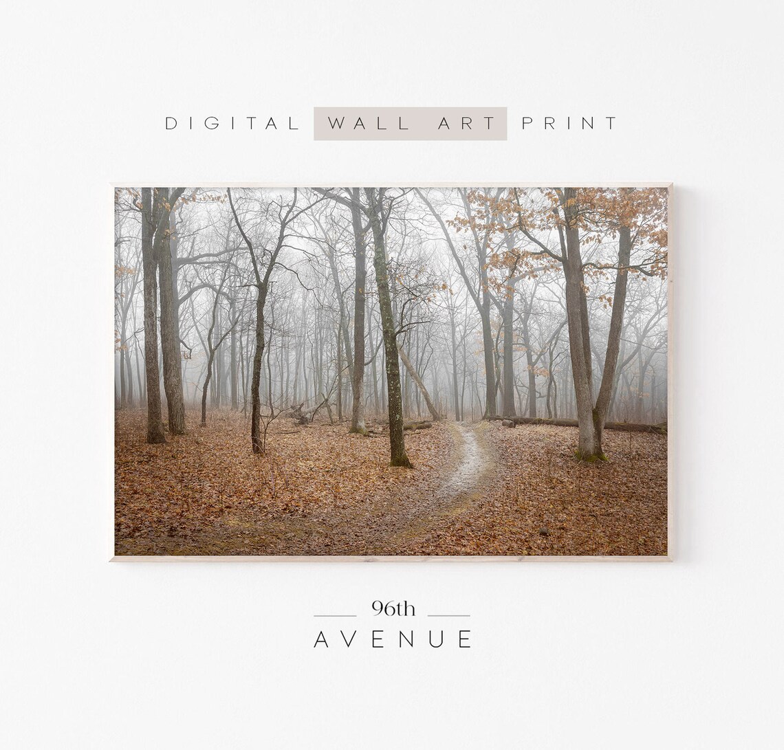 Autumn Forest Photography, Seasonal Landscape