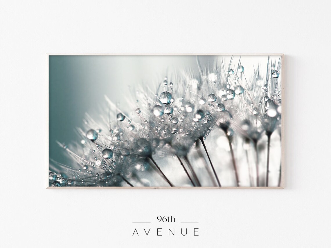 Dandelion Nature TV Art, Floral Macro Art Print