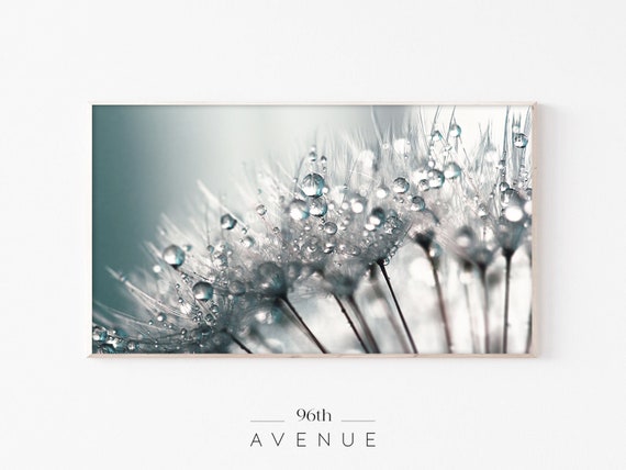 Dandelion Nature TV Art, Floral Macro Art Print