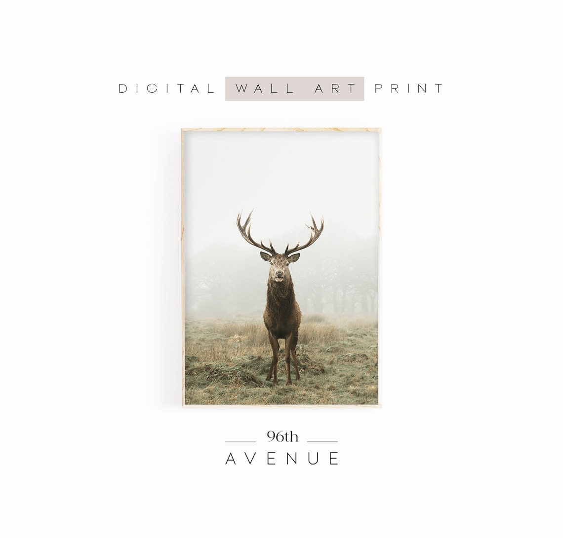 Deer Print, Rustic Forest Animal Decor
