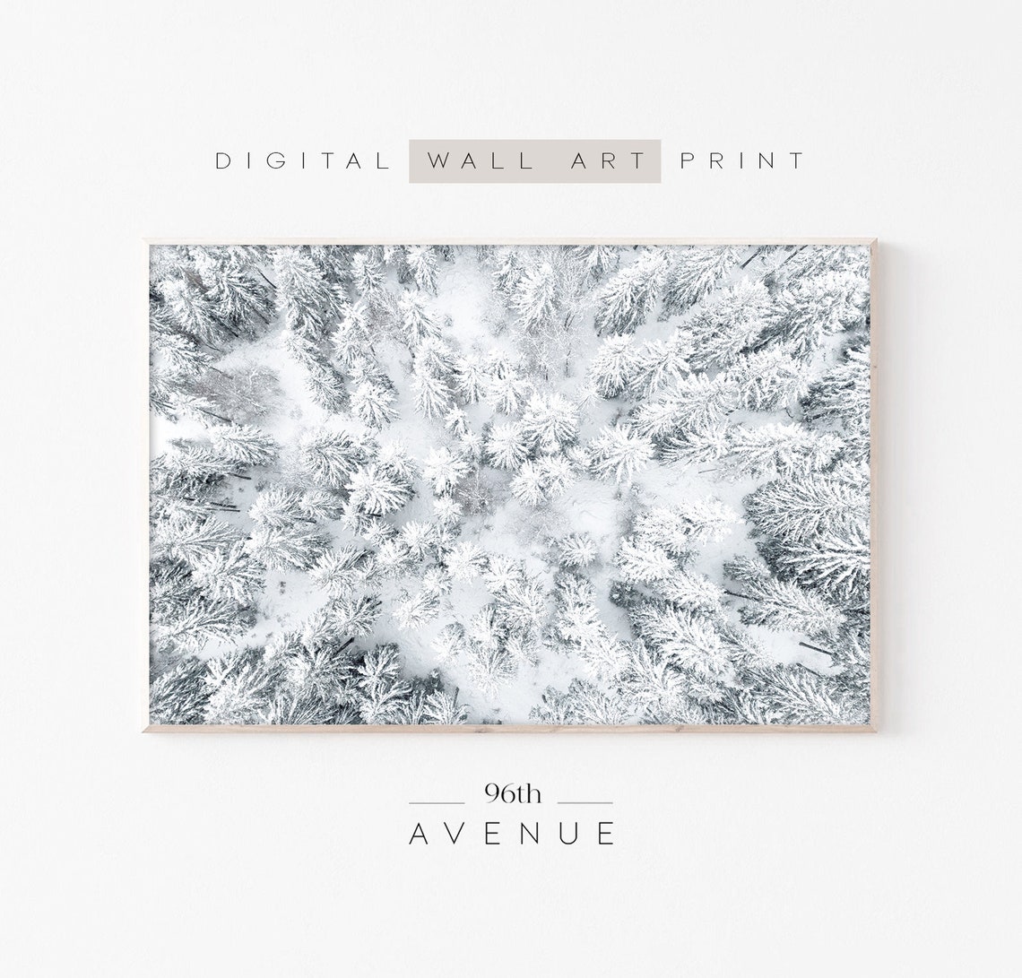 Aerial Drone View Over a Snow Covered Forest in Winter Poster