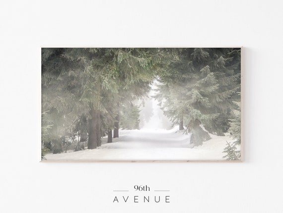 Pine Tree Forest Christmas Art Print, Winter Decor