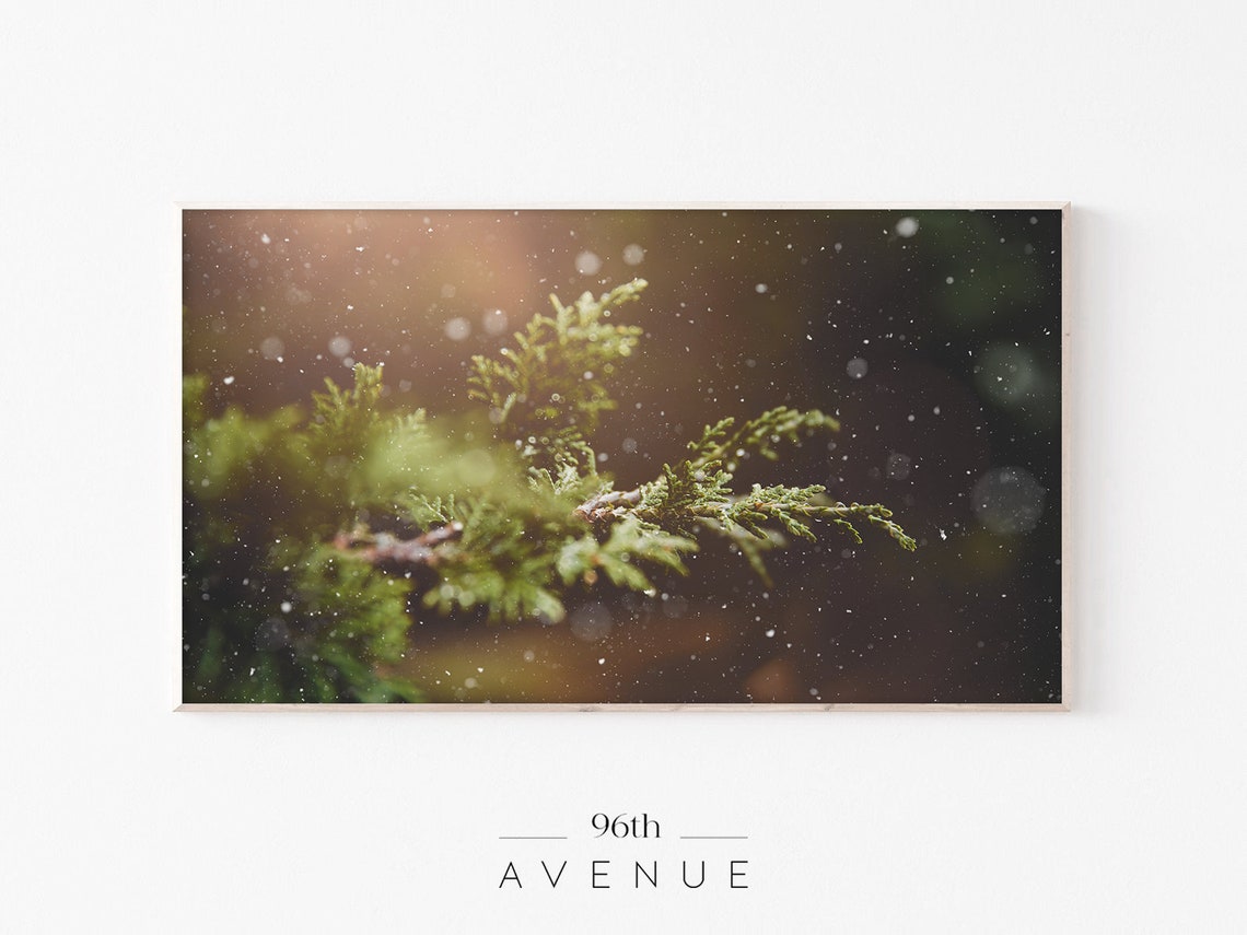 Snow Falling on Pine Branch Warm Winter Bokeh Light Nature Poster