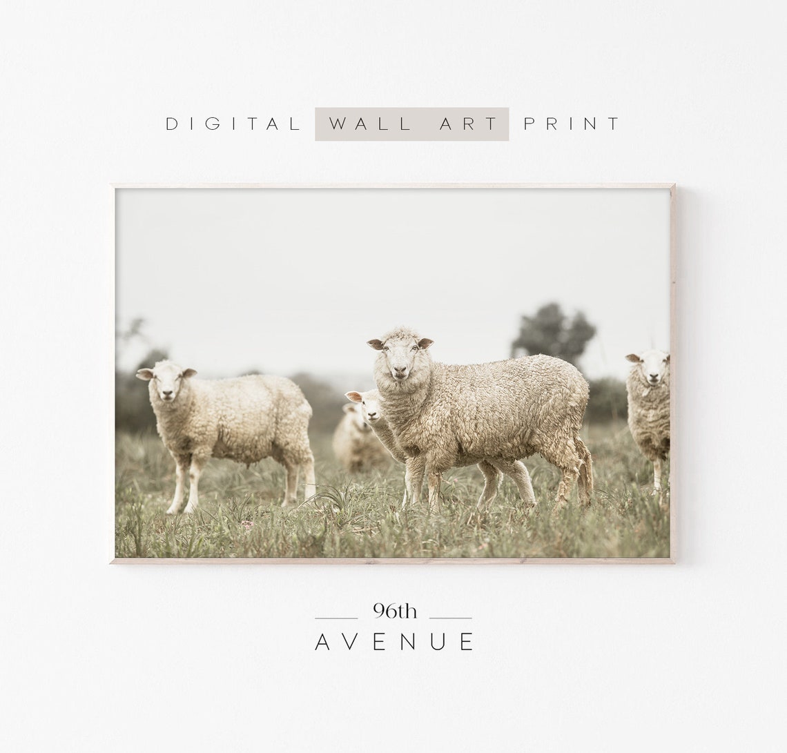Sheep Farmhouse Landscape Art Print