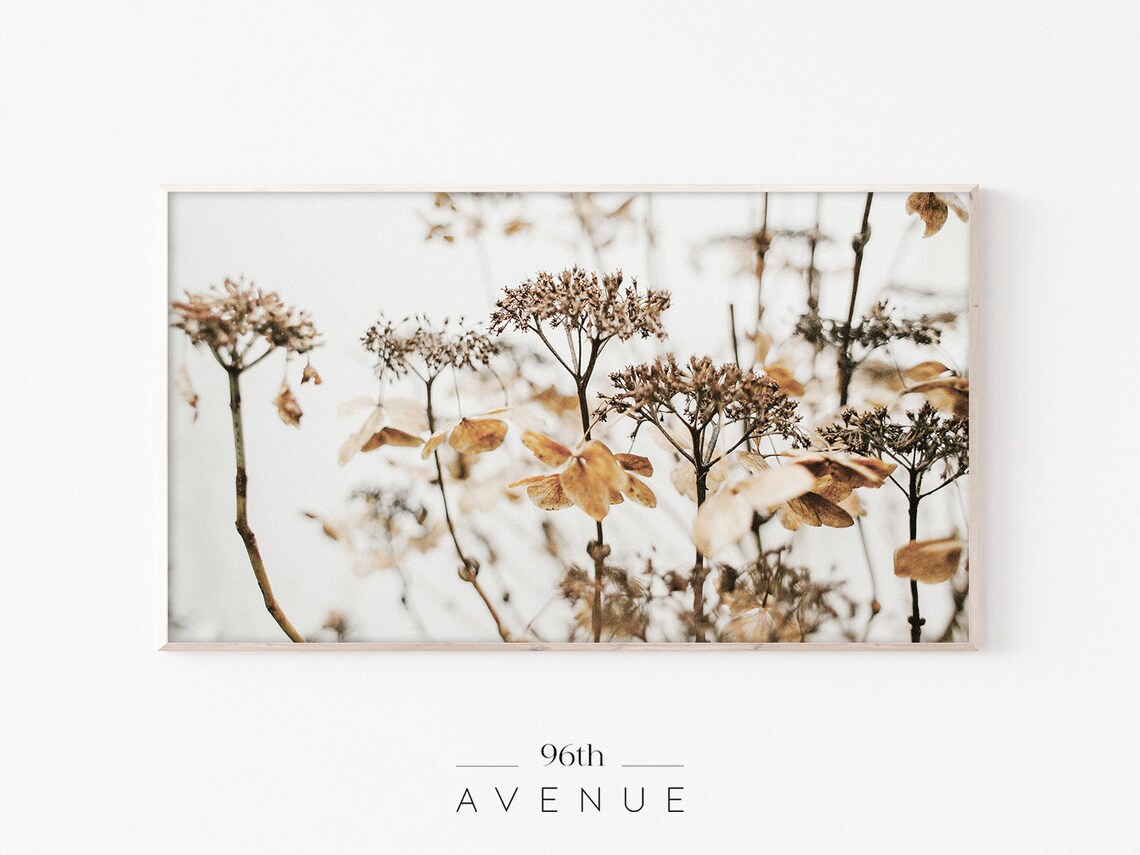 Dry Wildflowers Art Print for TV, Botanical Decor