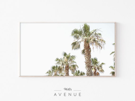 Palm Trees Art for TV