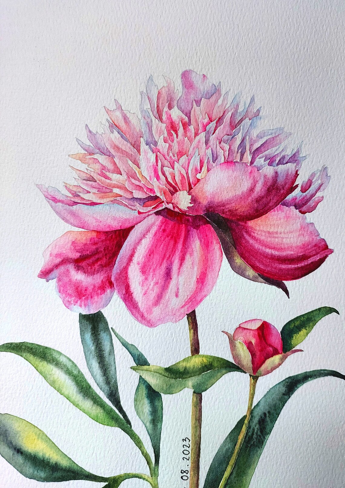 Peony Watercolor Painting, Botanical Spring Flower Art - Image 4