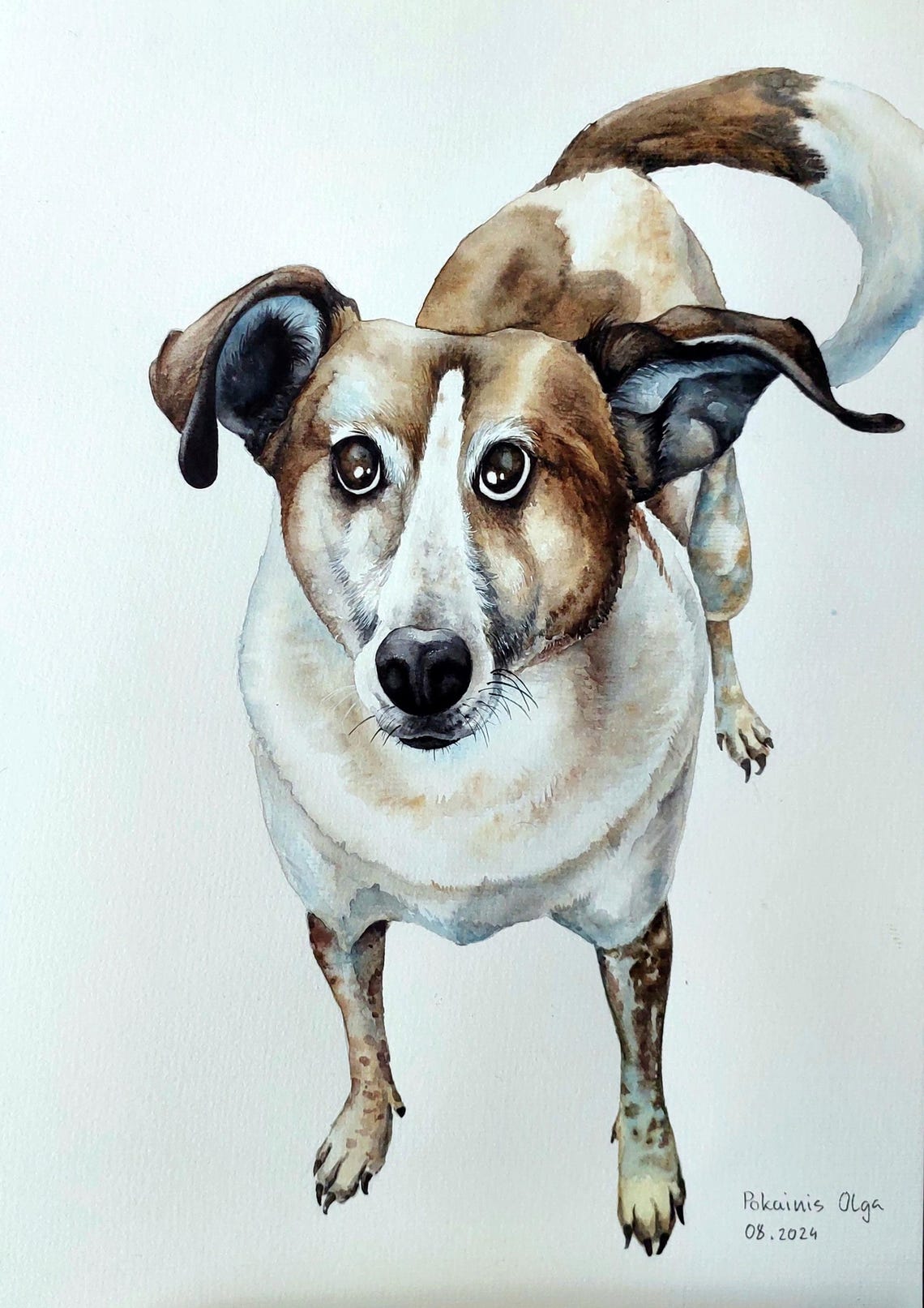 Brown and White Dog Portrait Looking Up Watercolor Pet Art Poster