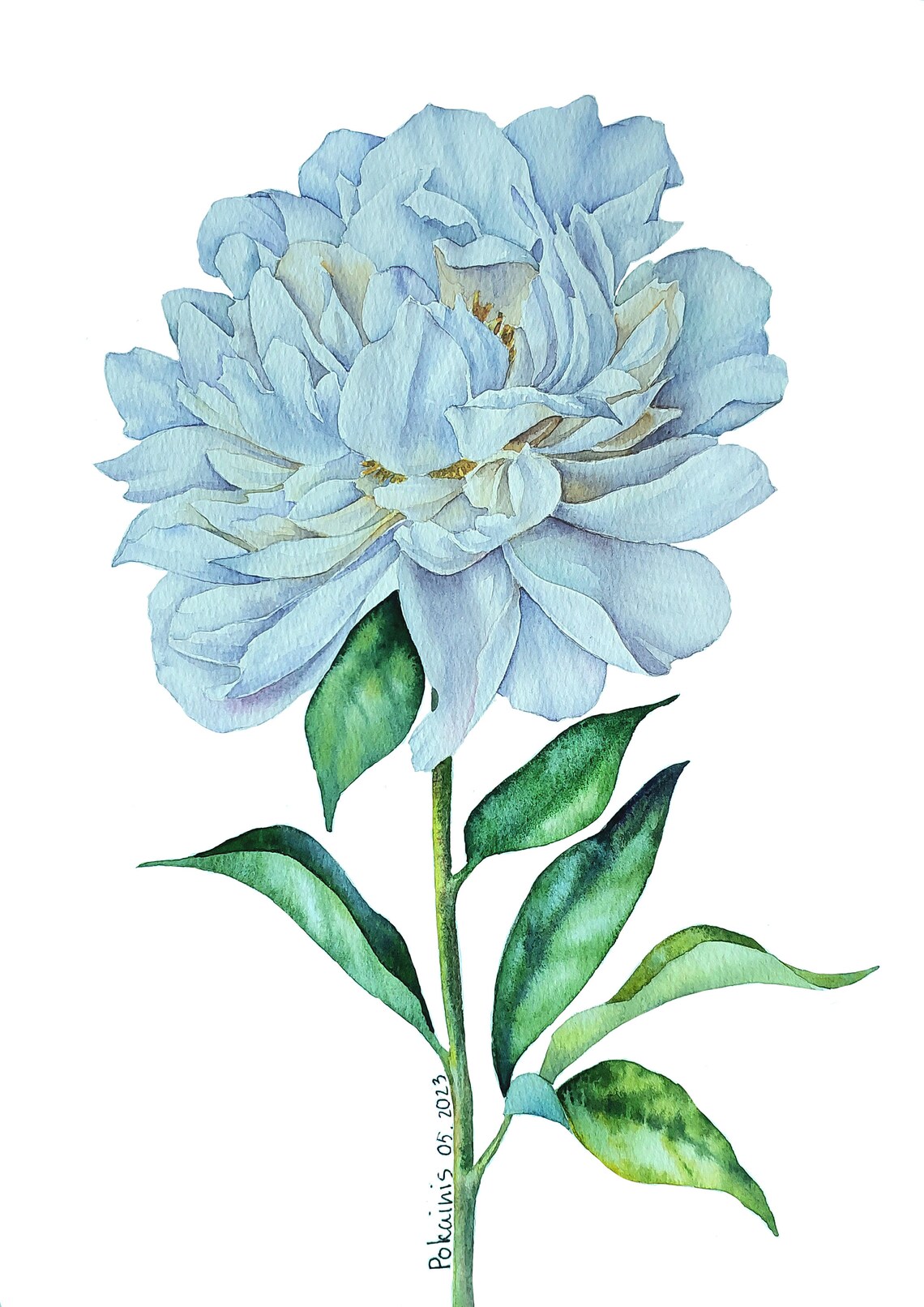 White Peony Watercolor Art Print, Botanical Wall Art