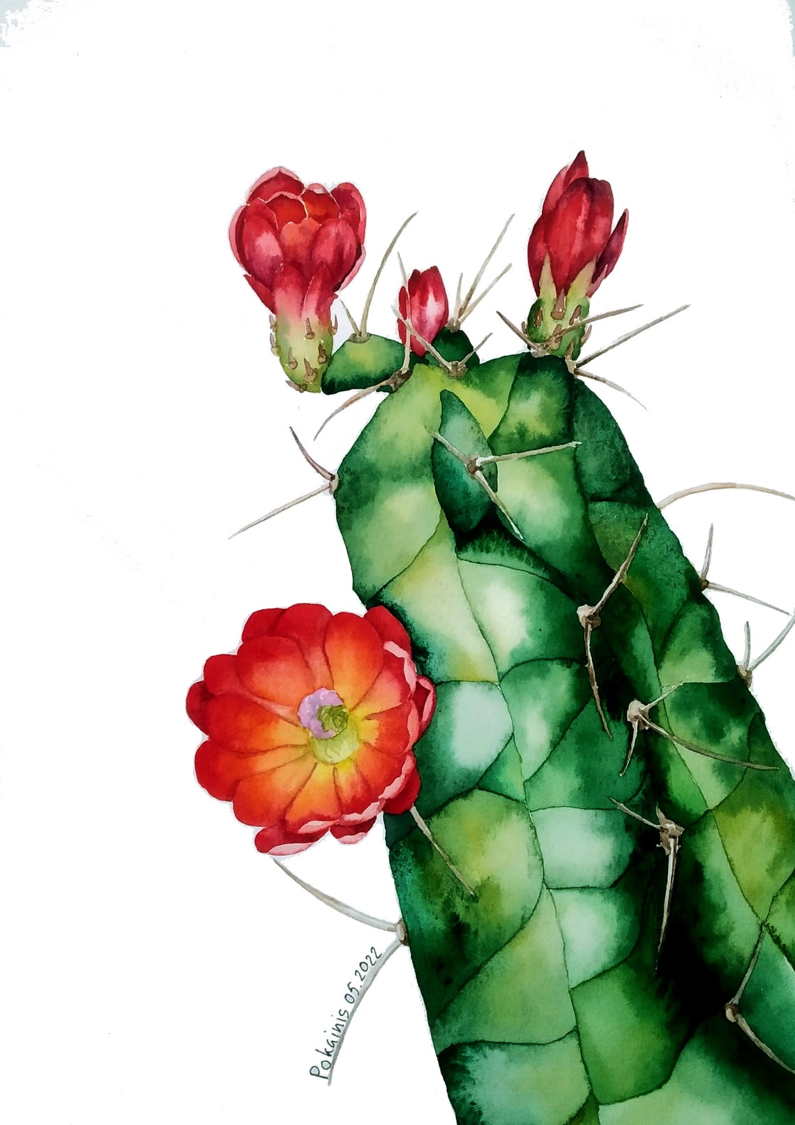 Spiny Green Cactus with Red Flowers Watercolor Botanical Poster