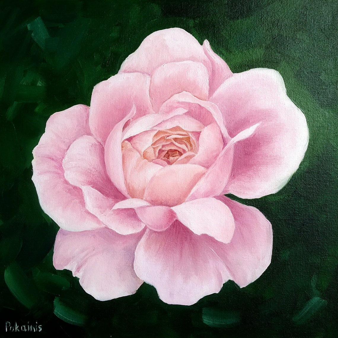 Blush Pink Rose Full Bloom Oil Painting Dark Garden Bloom Poster
