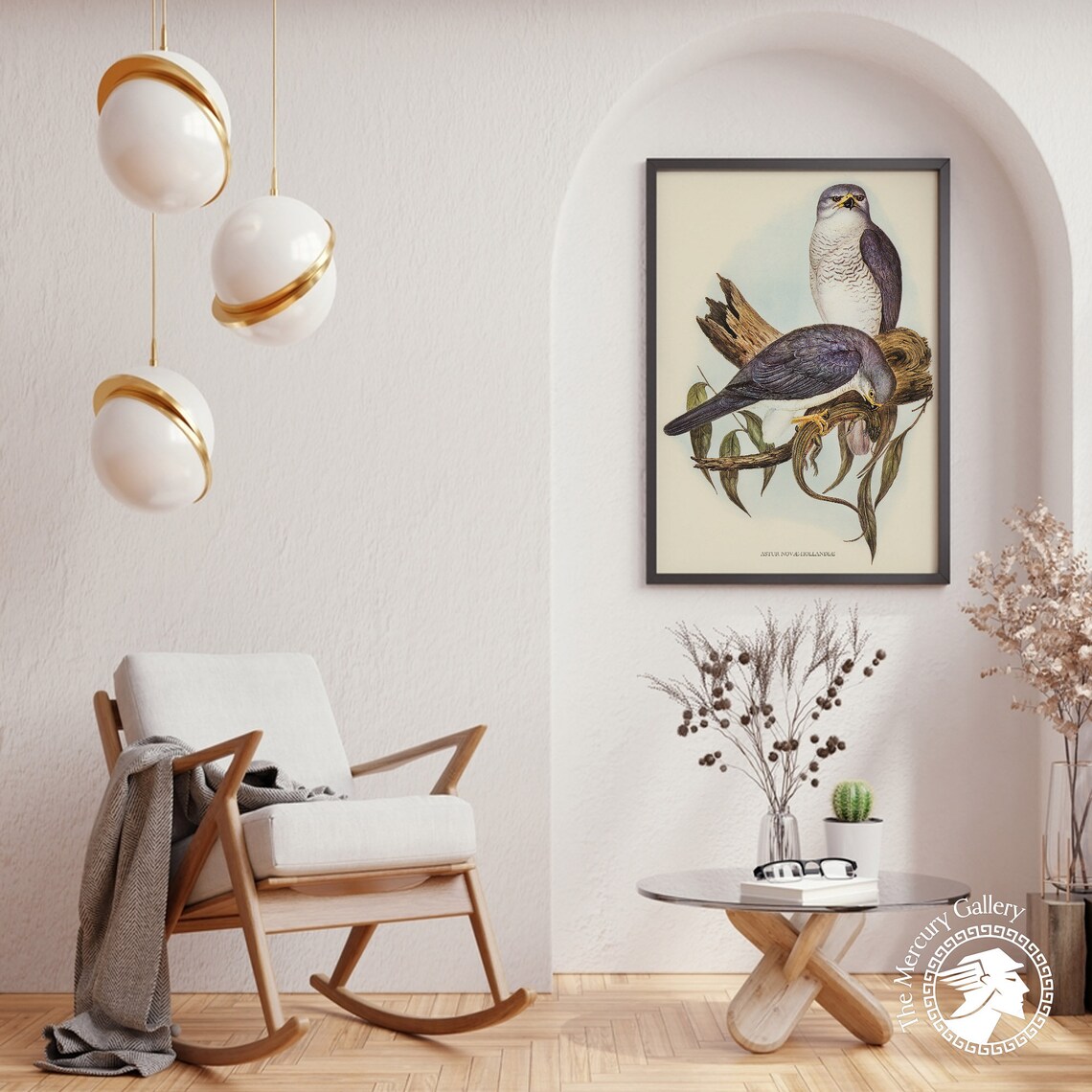 Vintage Grey Goshawk Pair Antique Bird Of Prey Ornithology Print - Image 4