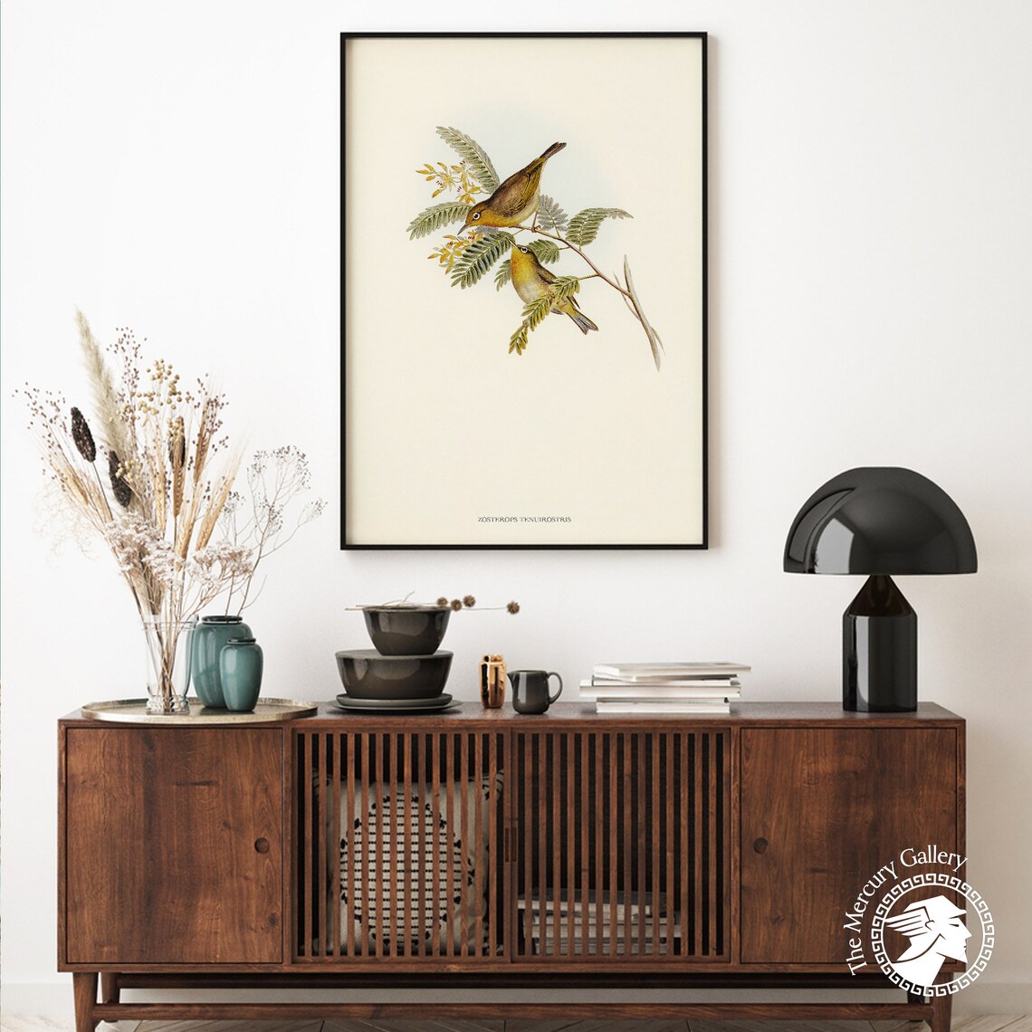 Vintage Slender-Billed White-Eye Pair Antique Bird Illustration Print - Image 5